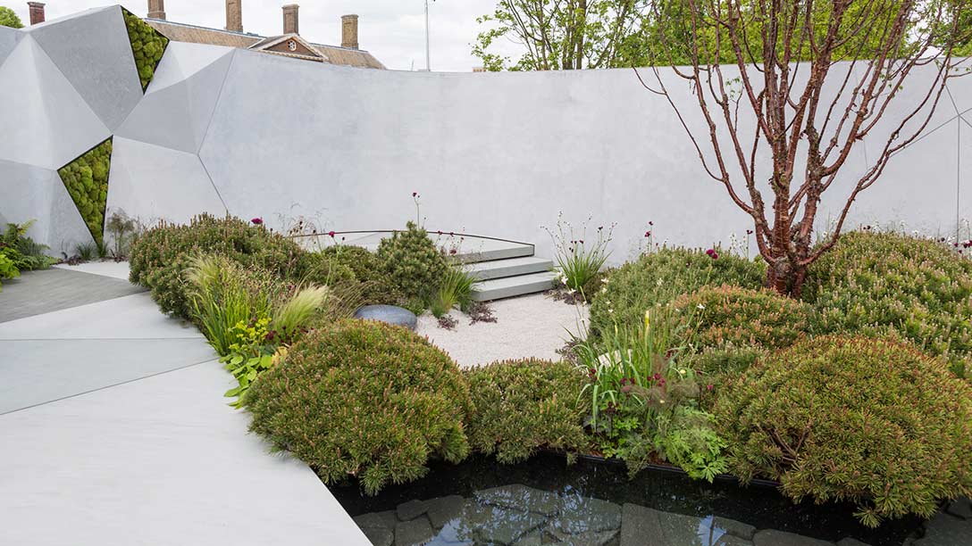 The Jeremy Vine Texture Garden