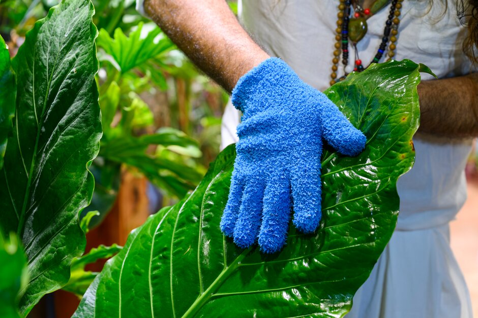 Five gardening tasks for dark winter evenings / RHS Gardening