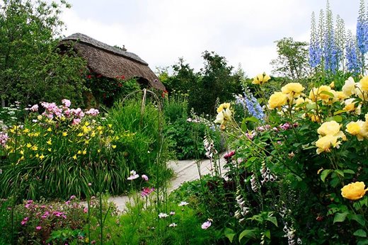 The Cottage Garden in June