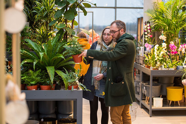 person shopping for small plant from the shop