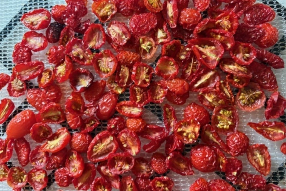 A sheet of dried cherry tomatoes, by Anne Adam A sheet of dried cherry tomatoes, by Anne Adam