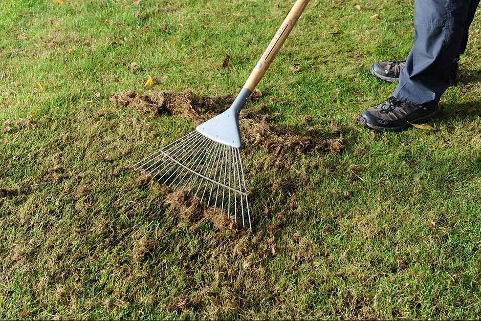 Use a spring-tined rake to remove debris clogging up your lawn