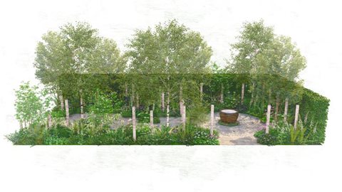 Macmillan Cancer Support: The Nascent Shade Garden