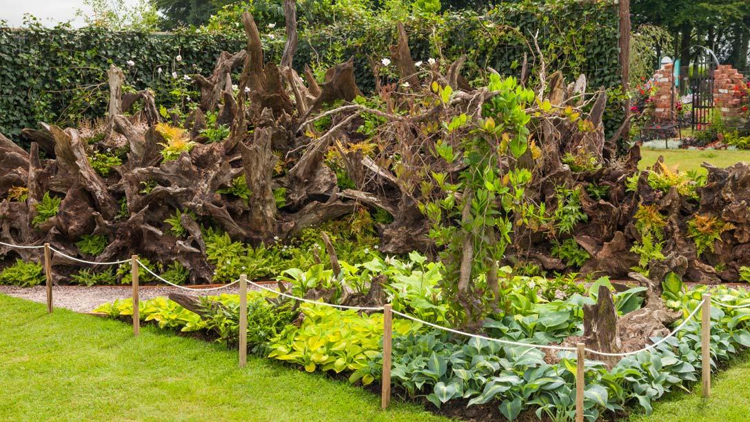 An English Stumpery Garden