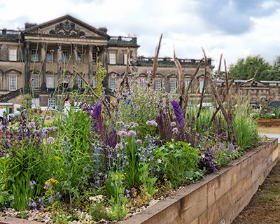 Discover the Long Border Avenue gardens at RHS Flower Show Wentworth ...