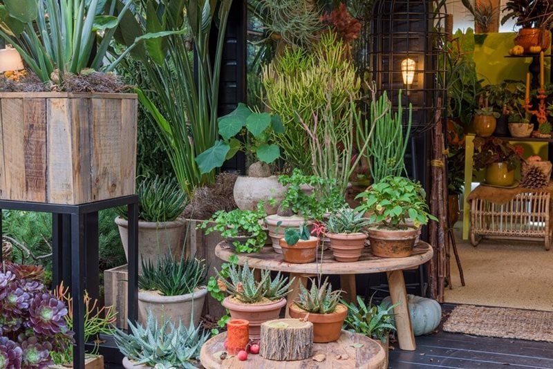 Display from House Plant Studios
