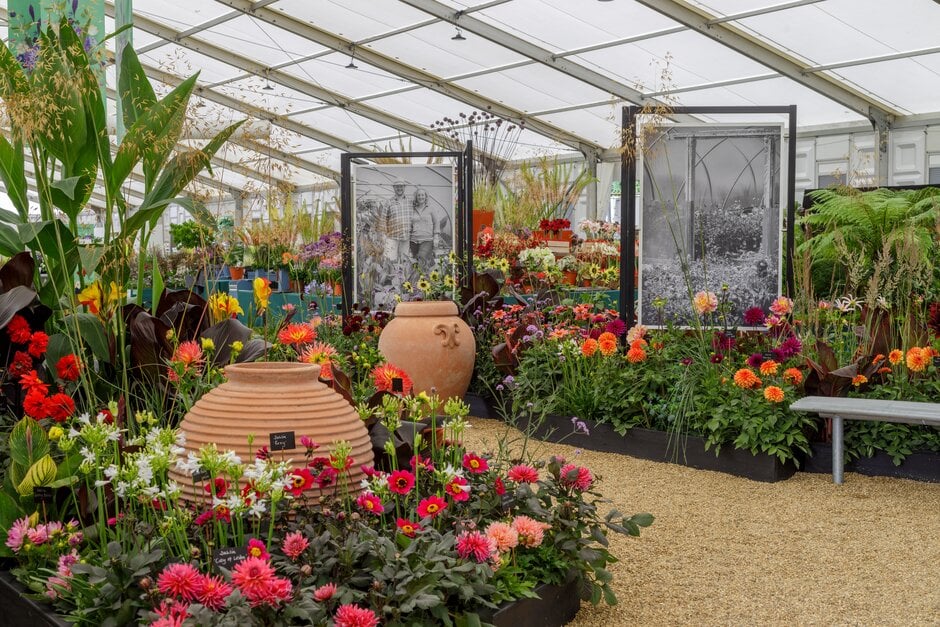 Todd's Botanics Master Grower Display at RHS Hampton Court 2022