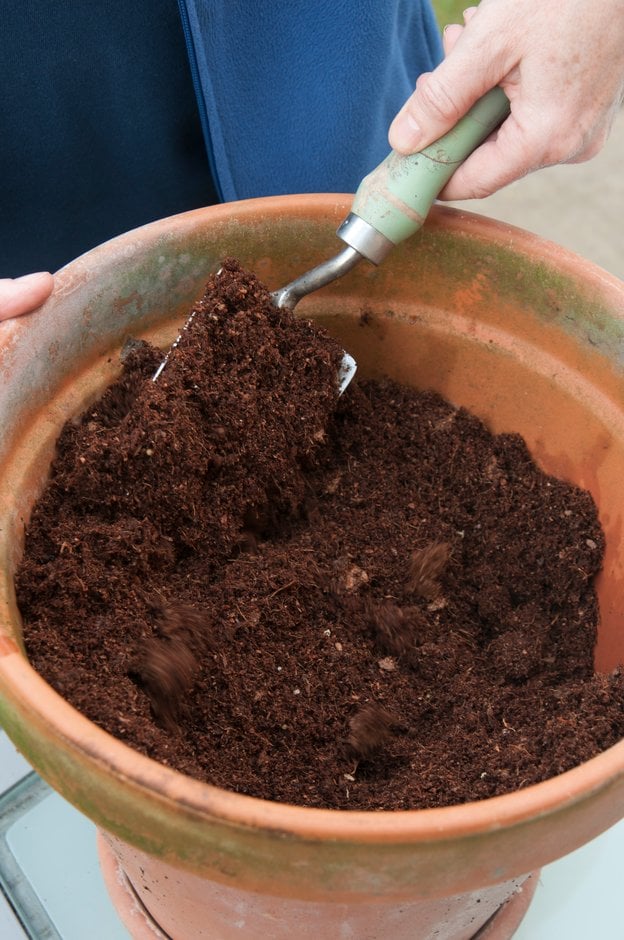 Mixing coir compost to fully hydrate it before use