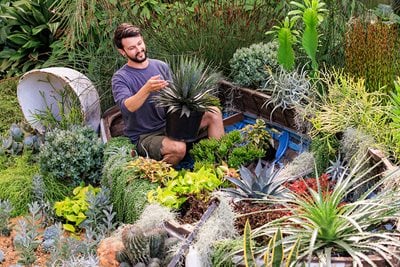 New Shoots open day