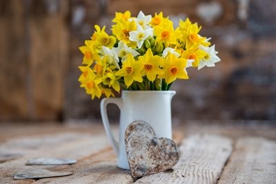 A vase of scented narcissi from Scilly Flowers