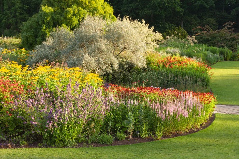 Plant A Pretty Border Rhs Gardening, How To Structure A Garden Border