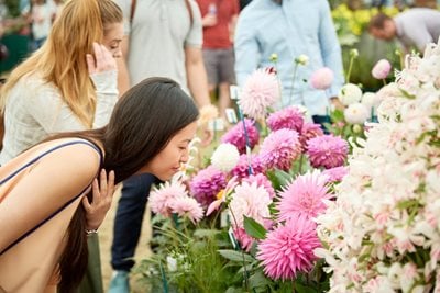 Visitor smelling the flowers