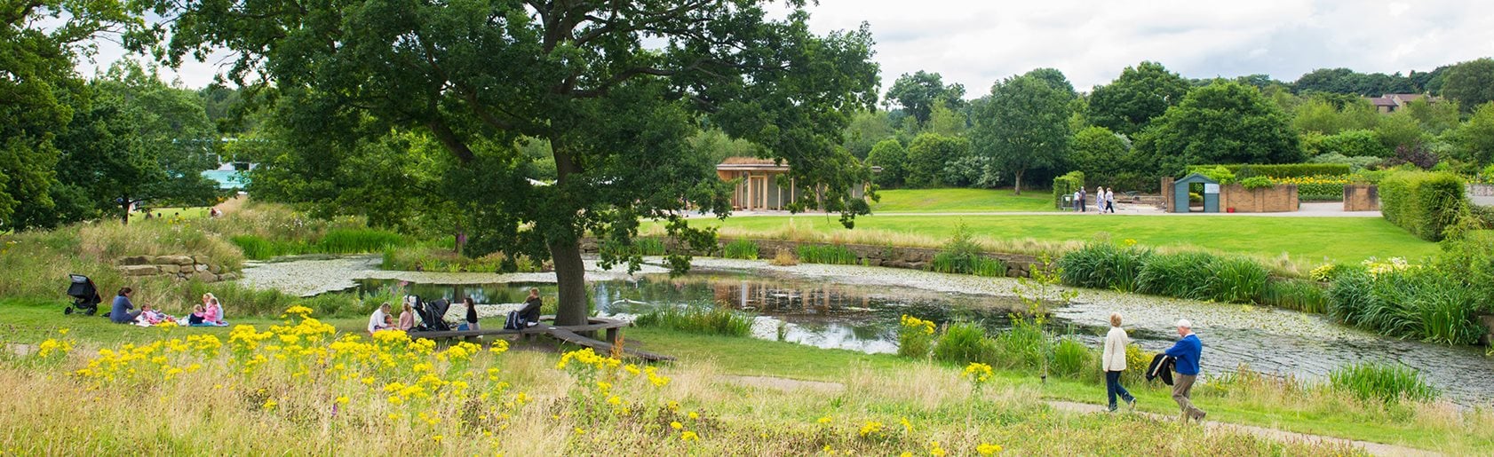photograph of the garden