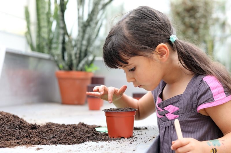 Child planting seed in pot