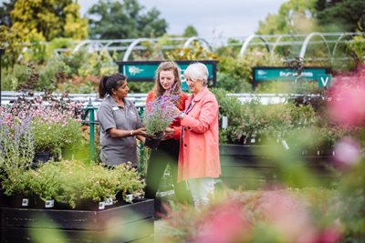Customers choosing plants at the RHS Wisley Garden Centre