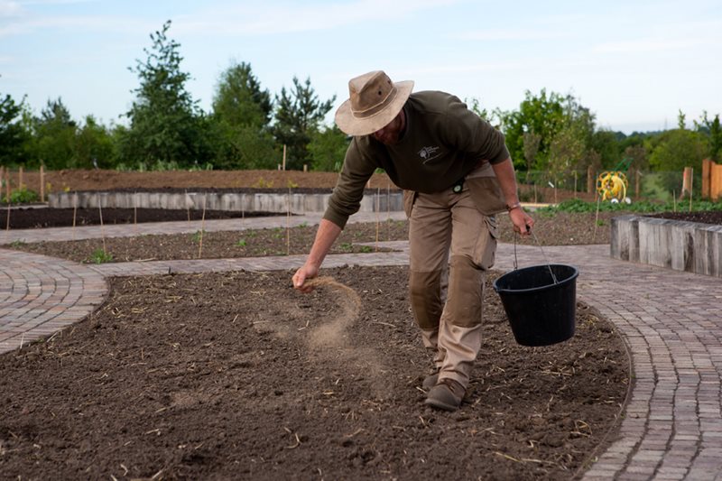Feeding the soil with bone meal
