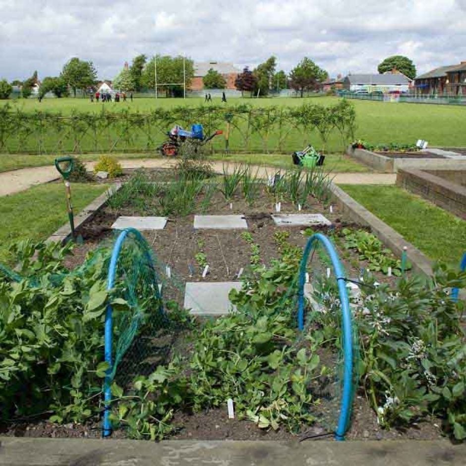 Creating raised beds