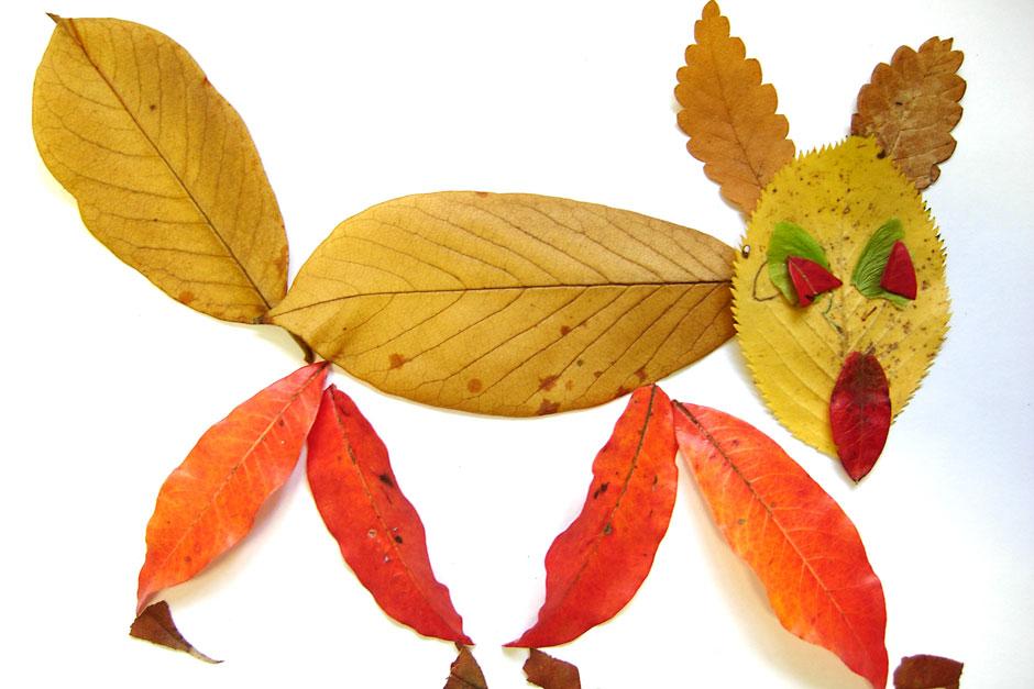 Activities for children - making animal pictures out of leaves / RHS  Gardening
