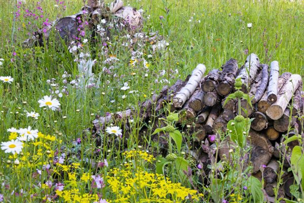 Person pruning a plant in winter