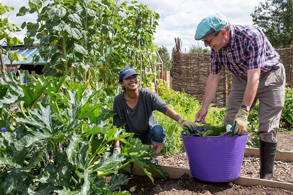 Two people having fun gardening