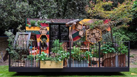 Making Life Better With Bees