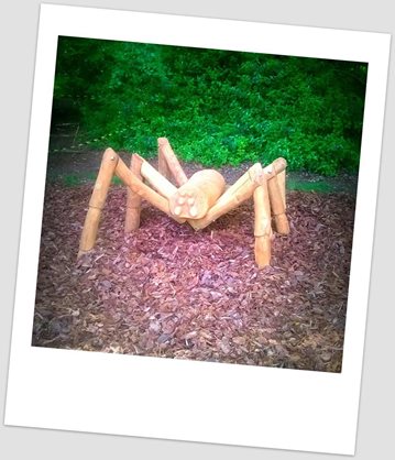 Colin the children's play spider