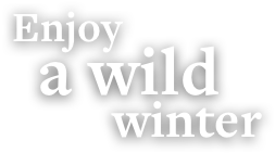 Enjoy a wild winter