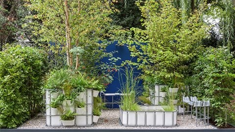 The IBC Pocket Forest