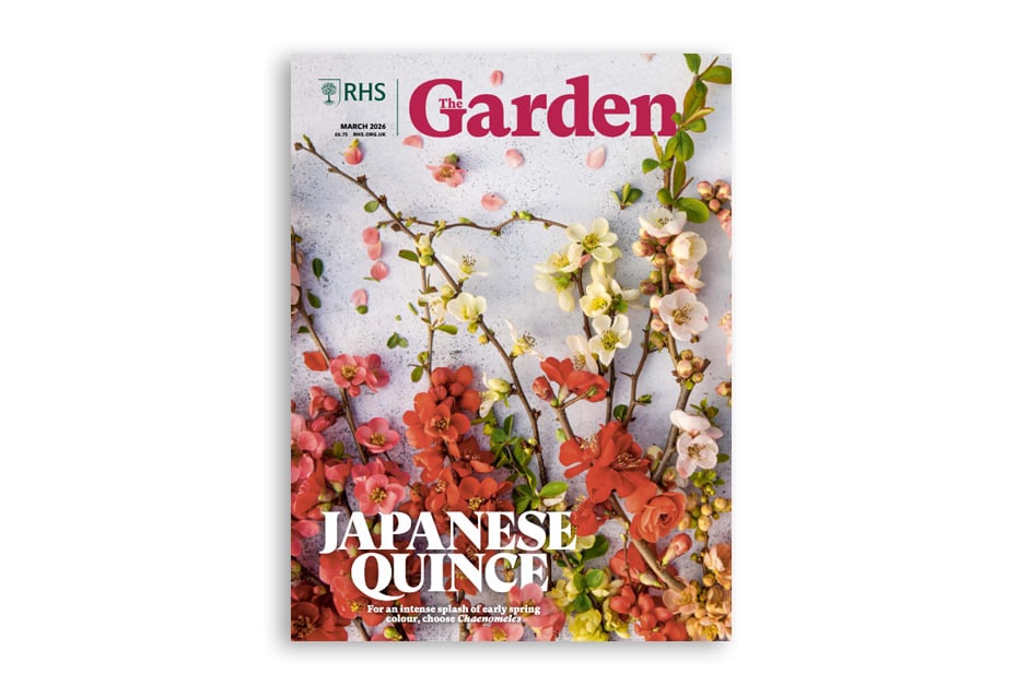 Get an intense splash of versatile early spring colour in the garden with Japanese quince. Trace the origins of an exceptional hellebore and the botanical dreamer for whom it is named. Discover how to get the most out of growing fruit and vegetables in small spaces. Explore four growers&rsquo; picks of easy alpines for rocky spots. Learn how a boggy Hampshire patch became a resilient space. Tour RHS Partner Garden West Dean as it rises to the challenges of climate change.Available for members on RHS The Garden app.