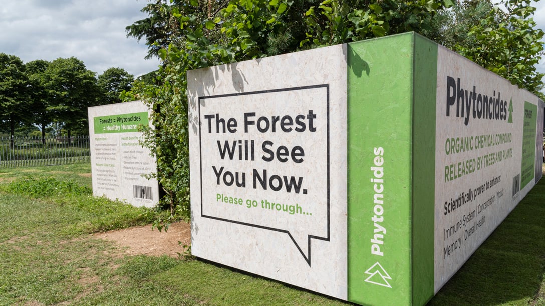 The Forest Will See You Now