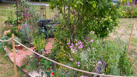 The Edible Garden at Berkeley Castle