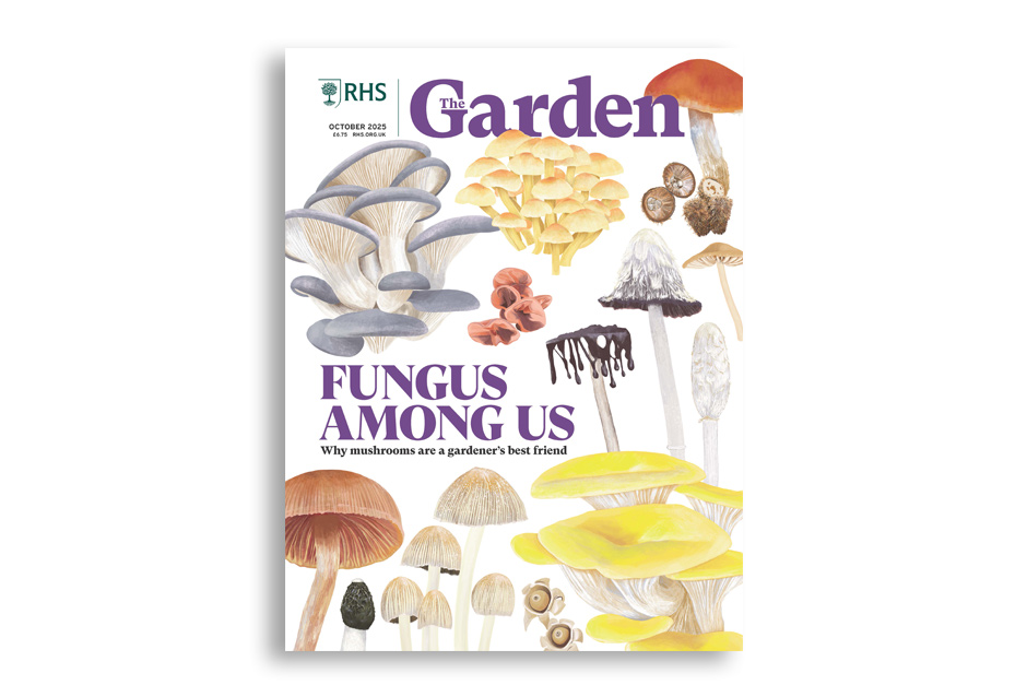 Discover why mushrooms are a gardener&rsquo;s best friend. Take a tour through Tom Stuart-Smith&rsquo;s one-of-a-kind compendium of garden-worthy plants. Explore Perfect Plantings Nursery in Norfolk, where a healing space has been created. Try easy-to-grow hardy chrysanthemums for enduring charm. Get expert picks for the best autumn climbers to cover fences and walls. Step behind the scenes at a Dorset sanctuary where inclusivity is the driving force.Available for members on RHS The Garden app.
