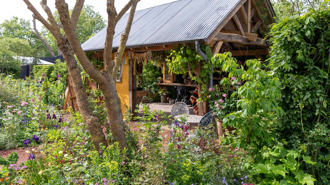 The RHS and The King’s Foundation Curious Garden