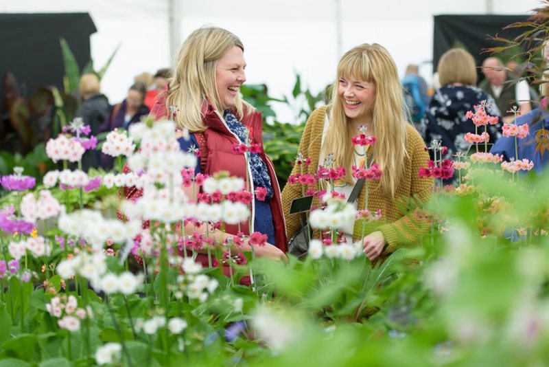 Visitors laughing in the Floral Marquee