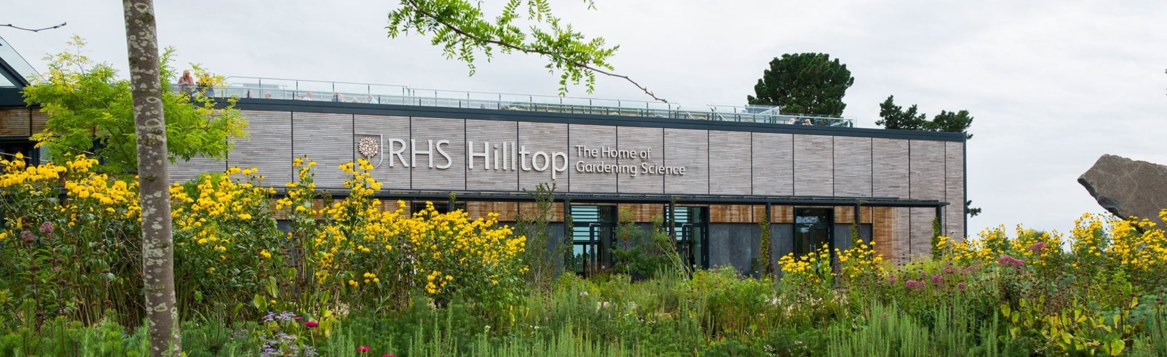 photograph of the garden