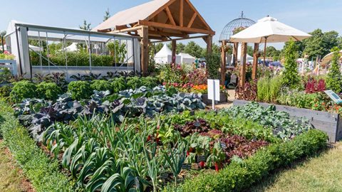 The RHS Growing Community Garden is a walk-through space with a focus on getting people growing more plants