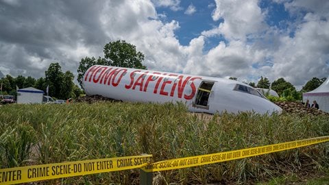 Garden designer Felicity O'Rourke uses knowledge of her former career as a pilot to create this powerfully shocking and realistic yet thought-provoking scene