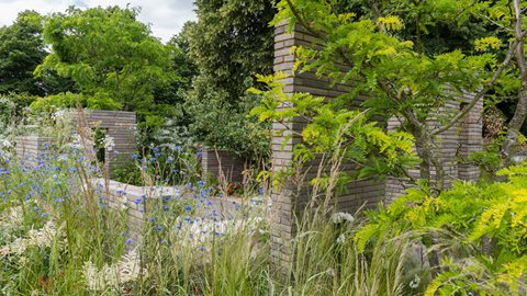 A secluded garden designed into three parts with Belgian paver bricks and a beautiful palette of summer colour, herbs and grasses - all growing under the golden-yellow of honey locust trees