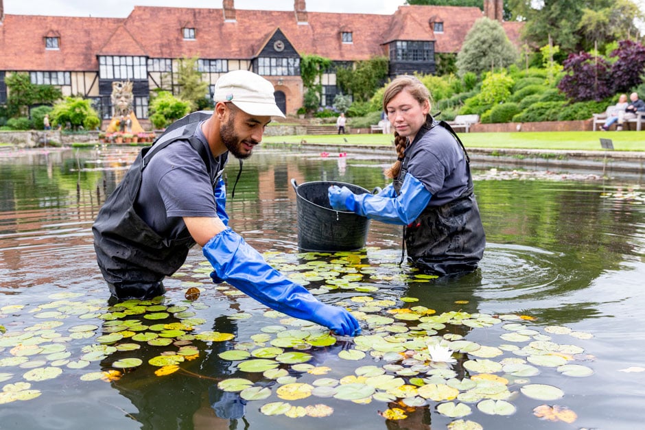 Horticulturist and apprentice removing dead leaves