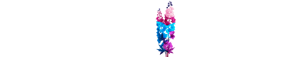 RHS Sandringham Flower Show