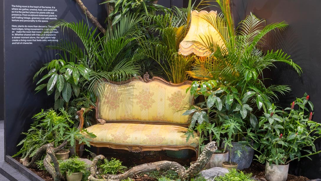 The Biophilic Blueprint