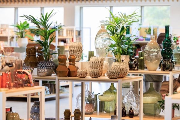 person shopping for small plant from the shop