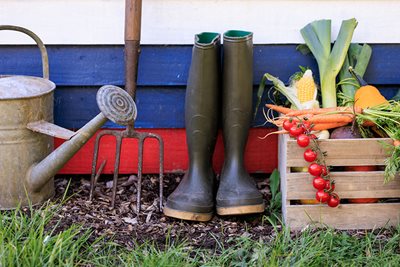 Allotment equipment