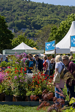 People shopping at RHS Malvern