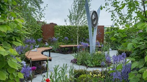 A clean design, with fulsome planting, allows ease of access for people coming into the garden