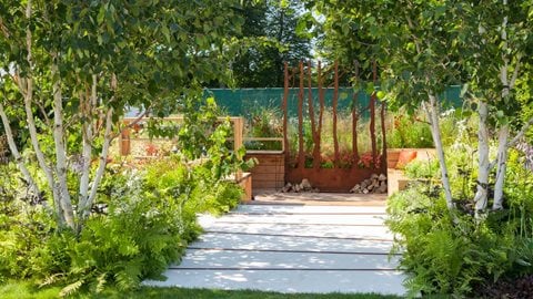 A cool, shaded entrance to the garden frames the sunny sunken office.