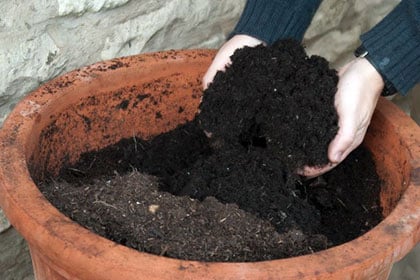 What needs doing in your Garden during the month of March
COMPOST TIPS