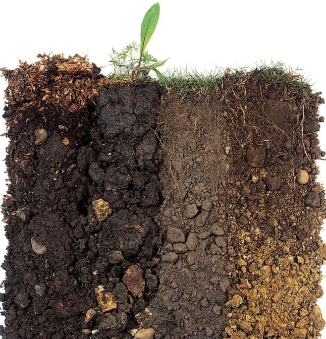 How to make your own potting mix / RHS Gardening