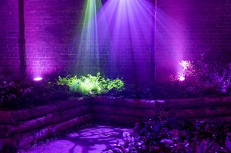 RHS Urban Forest with lighting effect