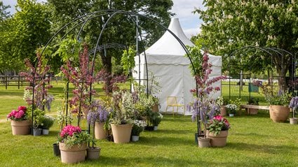 <p>Bloom Together Community Garden with Heart of England Britain in Bloom Group</p>
